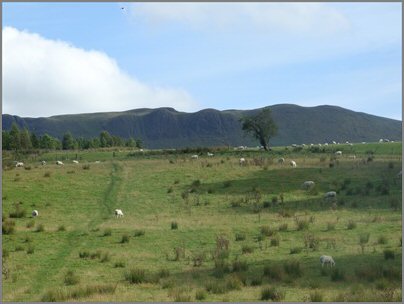 Campsie Hills